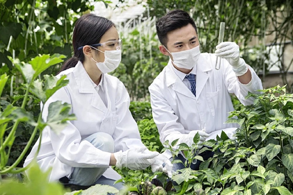 動植物及生化樣品